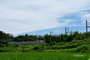 神戸電鉄第4回粟生線ワイズフォトコンテスト 「神戸市長も笑顔になるで賞」 作品名「草いきれの中を」