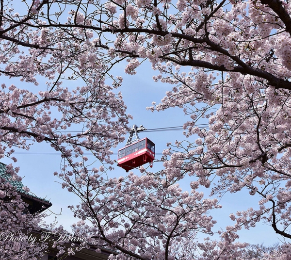 駅すぱあと 乗りものフォトコン入賞